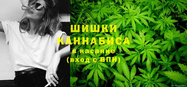 крисы Осташков