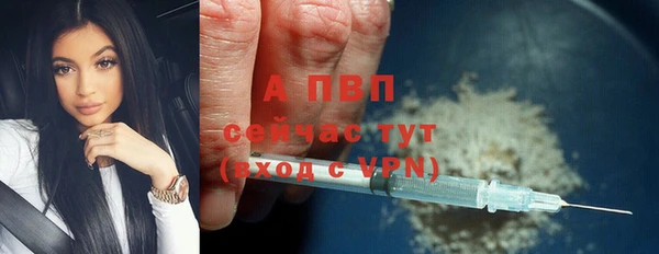 крисы Осташков