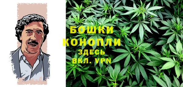 крисы Осташков