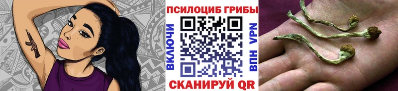 Псилоцибиновые грибы Psilocybe  маркетплейс состав  Унеча 