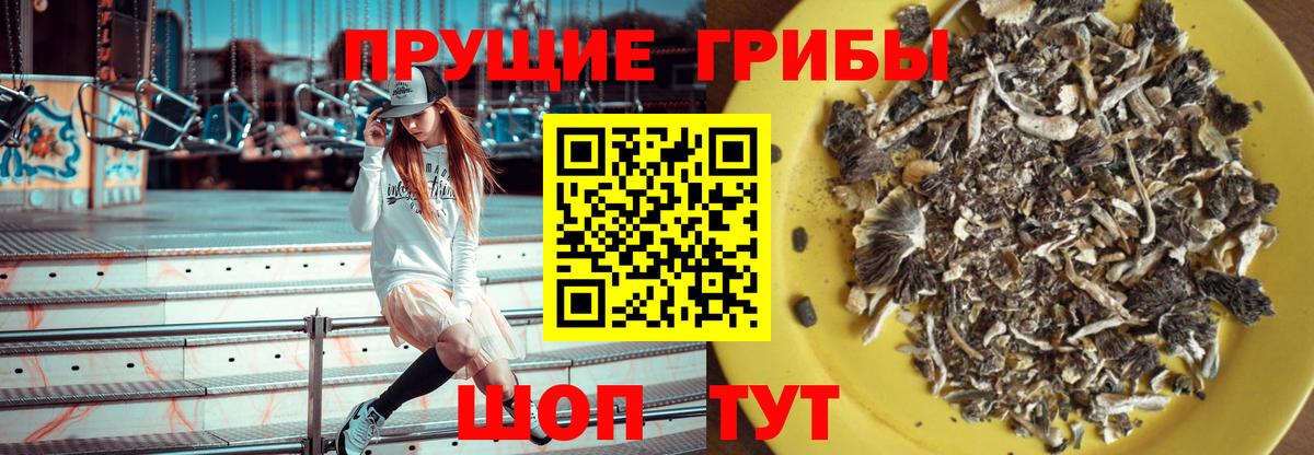 Галлюциногенные грибы мицелий  Вход с VPN  Галлюциногенные грибы MAGIC MUSHROOMS  Унеча 